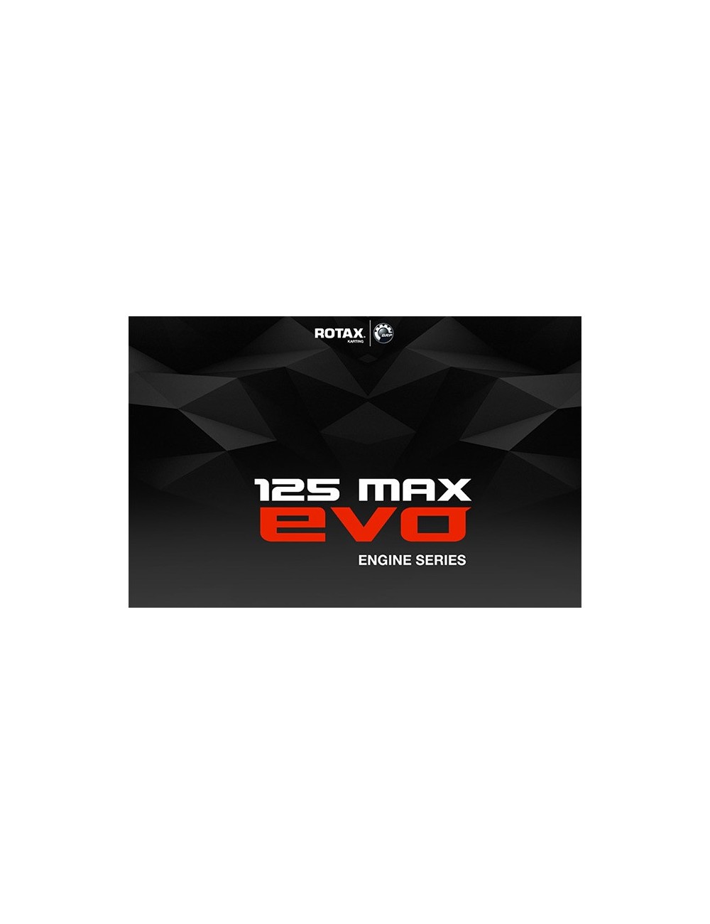 Upgrade Rotax Kit 1 - Zündung 2015 Upgrade Rotax Kit 1 - Zündung 2015