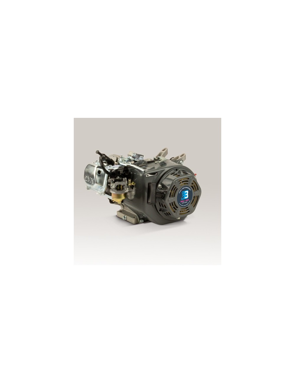 Kart engine 200cc Evo2 5KW - with bearing shells and better CS Kart engine 200cc Evo2 5KW - with bearing shells and better CS