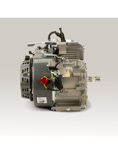 Kart engine 200cc Evo2 5KW - with bearing shells and better CS