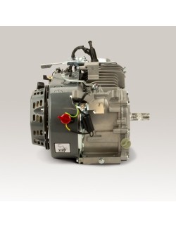 Kart engine 200cc Evo2 5KW - with bearing shells and better CS