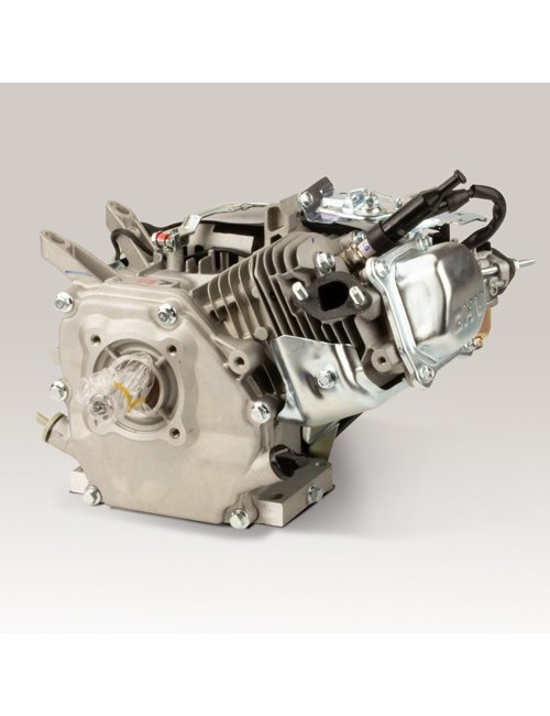 Kart engine 200cc Evo2 5KW - with bearing shells and better CS