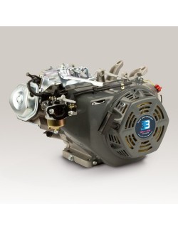 Magick moteur DM 390cc Evo2 9KW