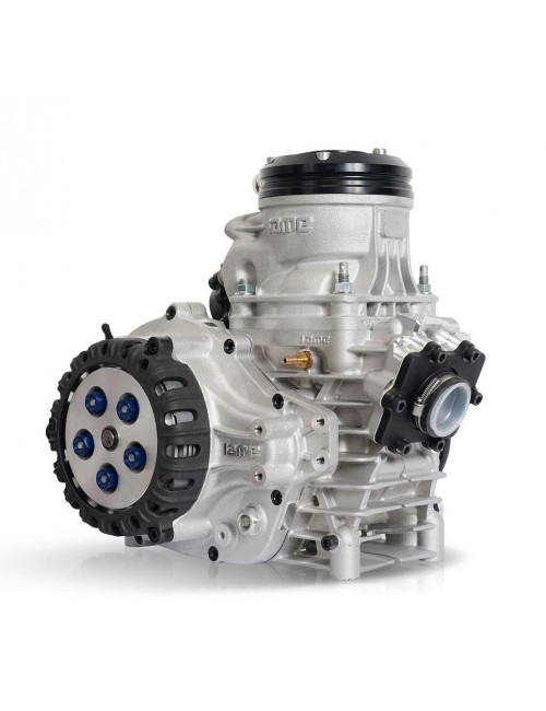 Moteur IAME Screamer III (KZ 2)