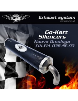Silencieux NEWMC CARBON CIK-FIA 038-SE-93