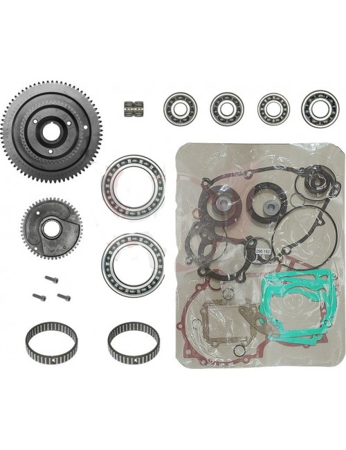 Kit réparation arbre d'équibrillage  DD2 rotax