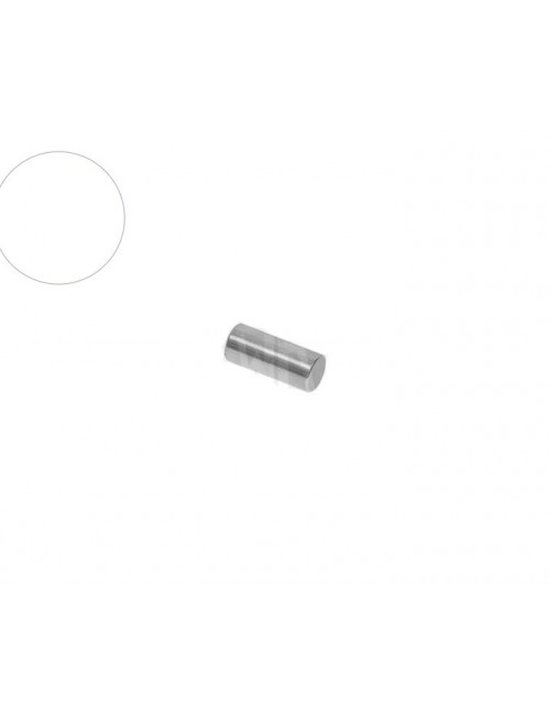 (14) Pin de centrage 5x10mm dd2 rotax