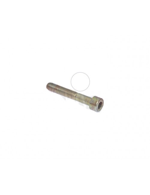 (22) Vis BTR M6x40mm Rotax