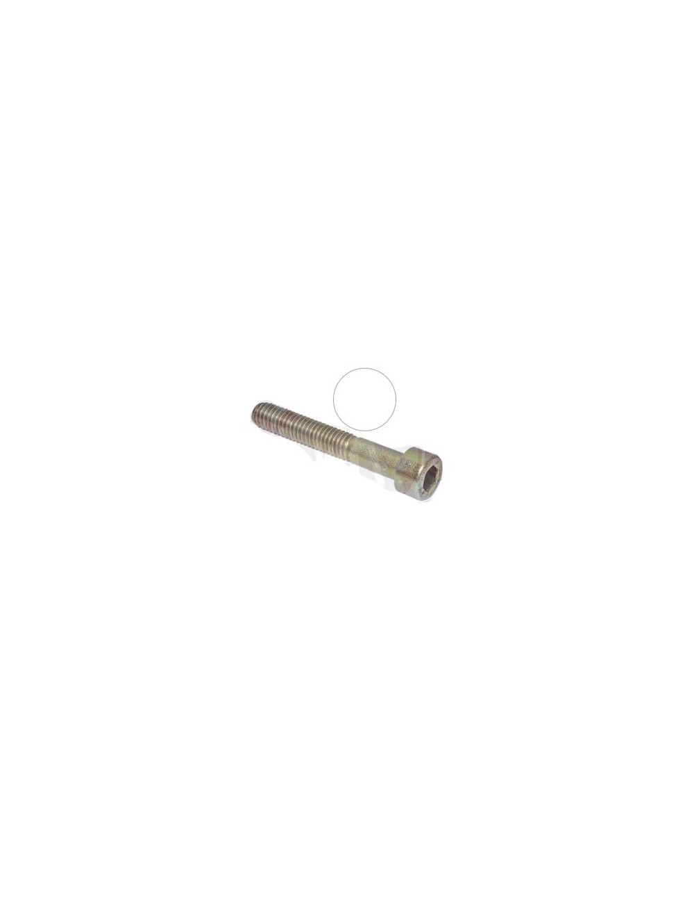 (22) Vis BTR M6x40mm Rotax (22) Vis BTR M6x40mm Rotax
