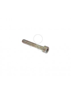 (22) Vis BTR M6x40mm Rotax