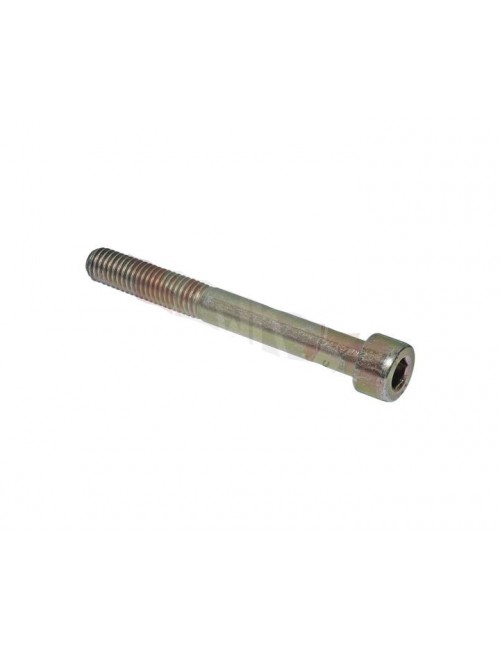 (24) Vis BTR M8x70mm Rotax