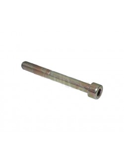 (24) Vis BTR M8x70mm Rotax