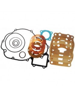 Pochet complet moteur TM KZ-R1 origine