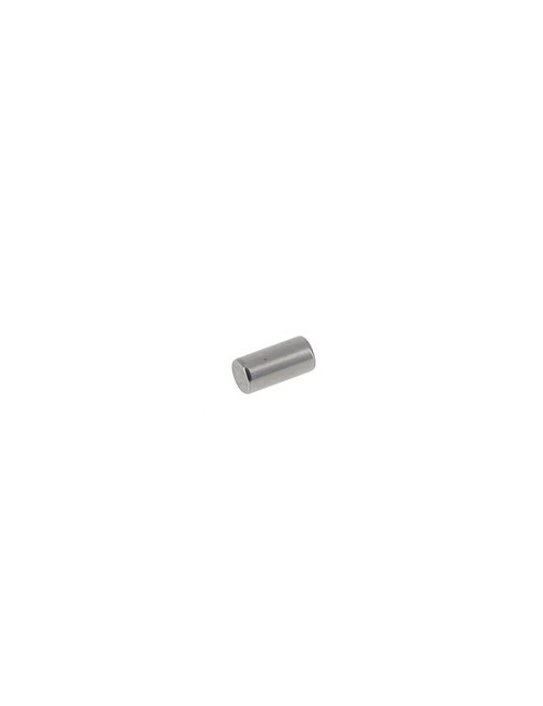 (12) Pion de centrage carter 6X12 TM