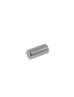 (12) Pion de centrage carter 6X12 TM