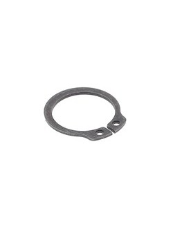 CLIPS TM PIGNON (33)