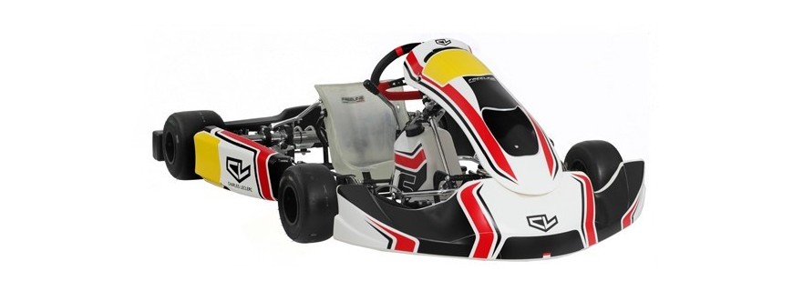 Chasis de Charles Leclerc