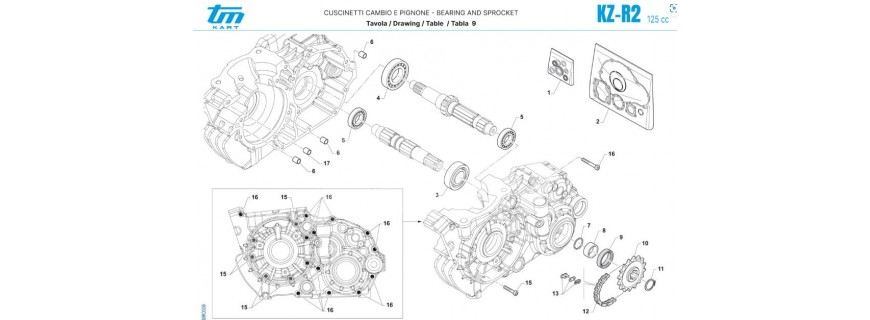 KIT CUSCINETTI/TRASMISSIONE/GIUNTI TM R2