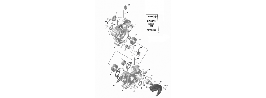 Carter-pompe a eau démarreur