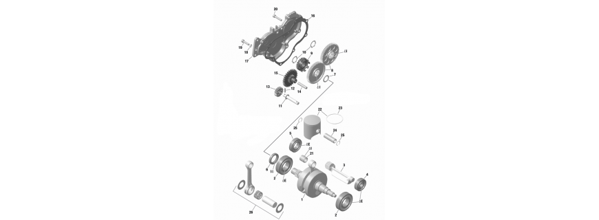 Vilebrequin, piston ,pompe a eau Rotax