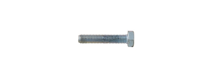 HEXAGONAL HEAD SCREW