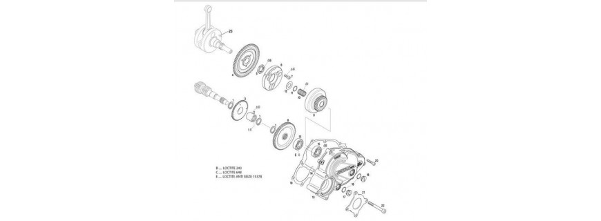 Embrayage DD2
