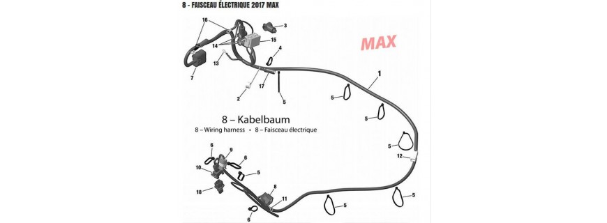 Viga Rotax Max 2017