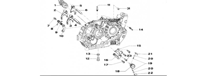 AUSWAHL TM R1