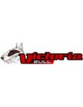 VB