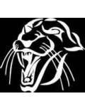  Panther Kart Chain