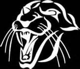  Panther Kart Chain