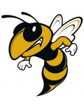 hornet line