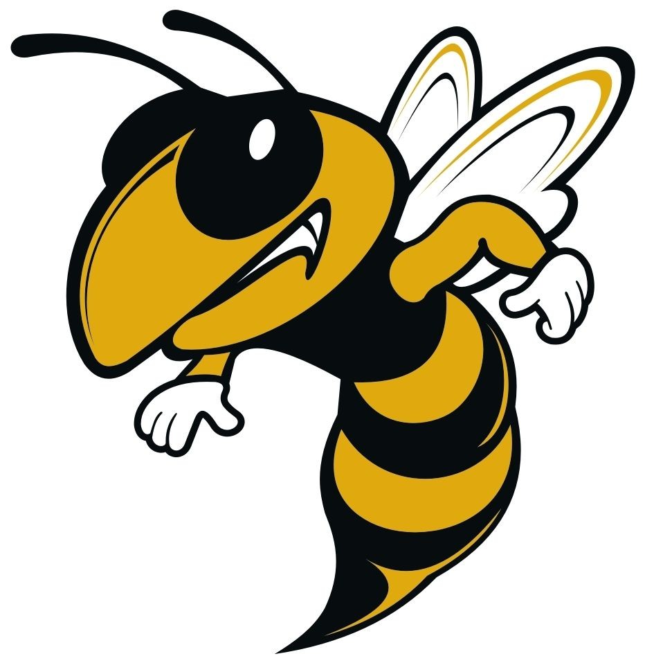 hornet line
